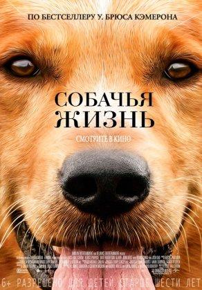 Собачья жизнь - Постер