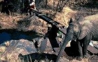 Невероятные приключения янки в Африке (1993) Кадр 2