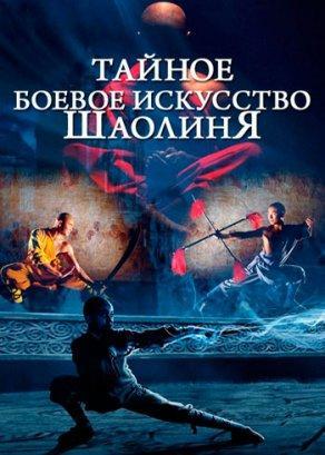 Тайное боевое искусство Шаолиня (1994) Постер
