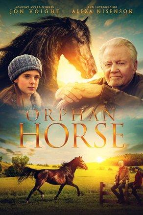 Orphan Horse (2018) Постер