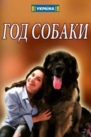 Год собаки (2018) Постер