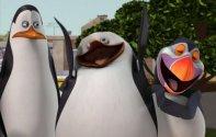 Пингвины из Мадагаскара (2008) Кадр 1