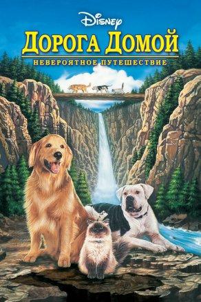 Дорога домой: Невероятное путешествие (1993) Постер