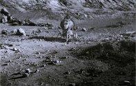 Аполлон 18 (2011) Кадр 2