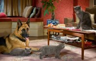 Кошки против собак: Месть Китти Галор (2010) Кадр 2
