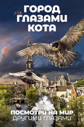 Город глазами кота (2018) Постер