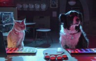 Кошки против собак 3: Лапы, объединяйтесь (2020) Кадр 1
