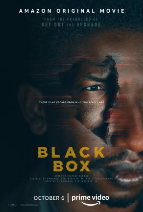 Чёрный ящик (2020) Постер
