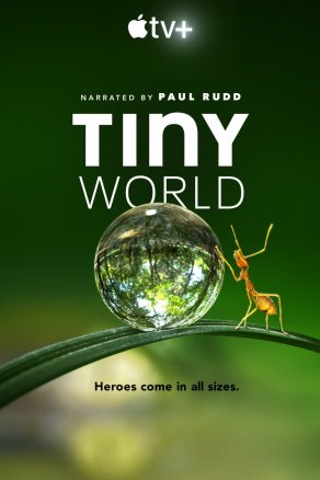 Крошечный мир (2020) Постер