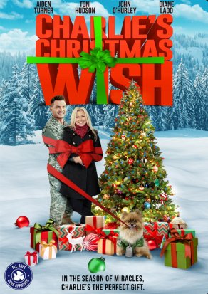 Рождественское желание Чарли (2020) Постер