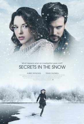 Secrets in the Snow Постер