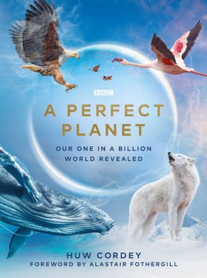 Идеальная планета (2021) Постер