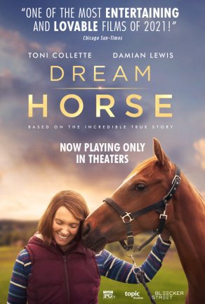 Лошадь мечты (2020) Постер