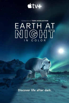 Земля ночью в цвете (2020) Постер