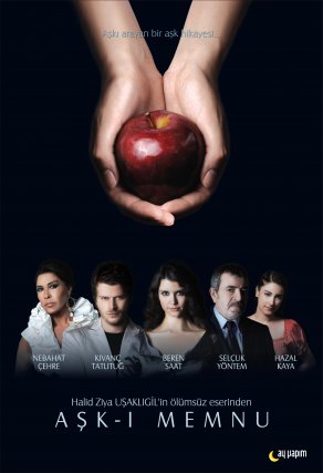Запретная любовь (2008) Постер