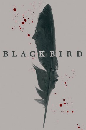 Чёрная птица (2022) Постер
