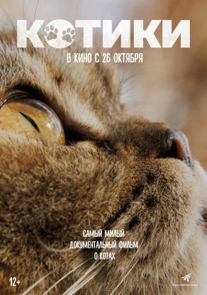 Котики (2022) Постер