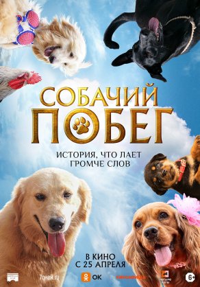 Собачий побег (2023) Постер